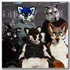 Eurofurence 2014 fursuit photoshoot. Preview picture of Asaril, Shadow D  Lightwolf, Fallenwolf, …